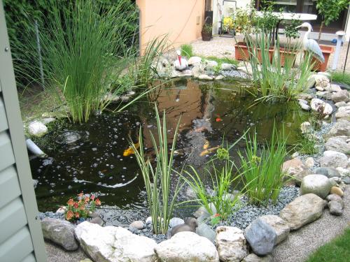 teich mit springbrunnen.JPG